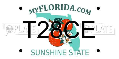 T28CE Florida License Plate
