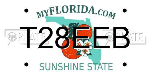 T28EEB Florida License Plate