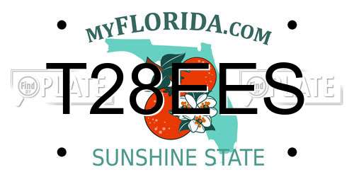 T28EES Florida License Plate