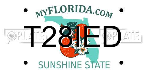 T28IED Florida License Plate