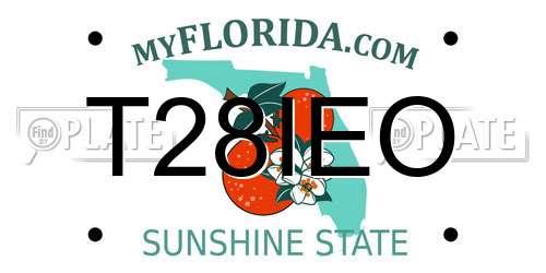 T28IEO Florida License Plate