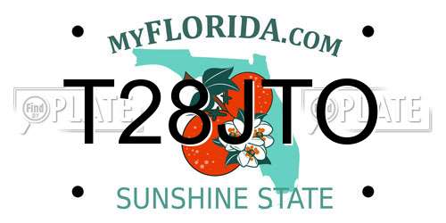 T28JTO Florida License Plate