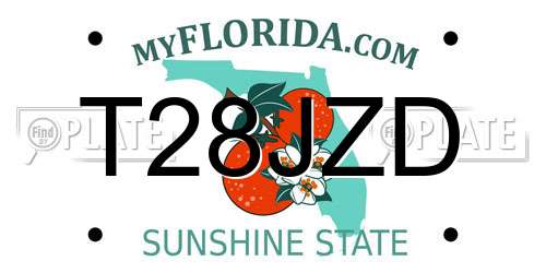 T28JZD Florida License Plate