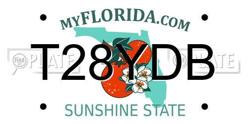 T28YDB Florida License Plate
