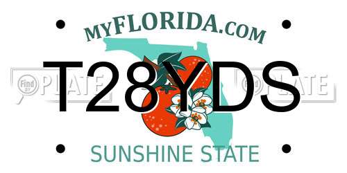 T28YDS Florida License Plate