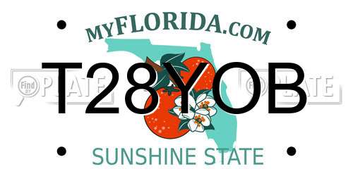 T28YOB Florida License Plate