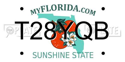 T28YQB Florida License Plate