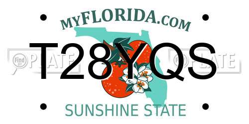 T28YQS Florida License Plate