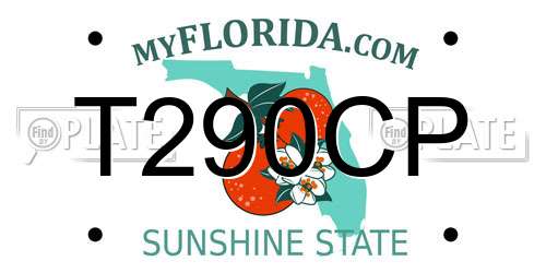 T290CP Florida License Plate