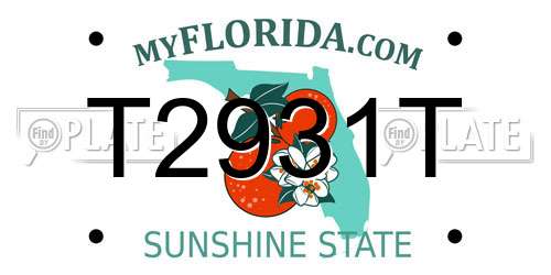 T2931T Florida License Plate