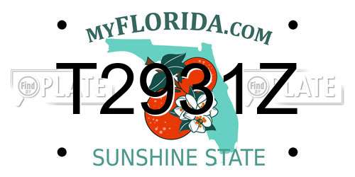 T2931Z Florida License Plate