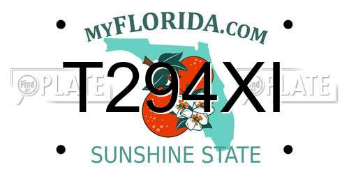 T294XI Florida License Plate