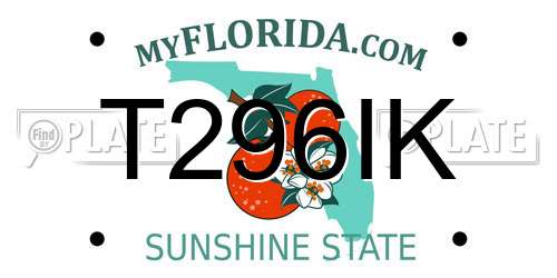 T296IK Florida License Plate