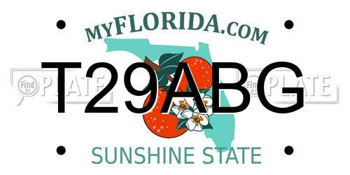 T29ABG Florida License Plate