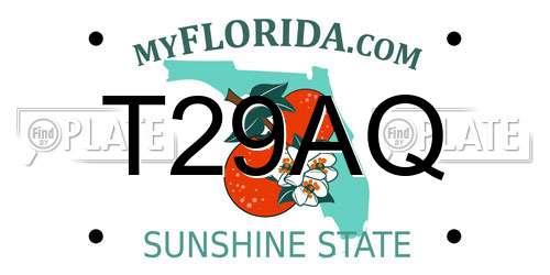 T29AQ Florida License Plate