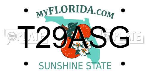 T29ASG Florida License Plate