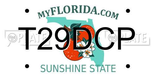 T29DCP Florida License Plate