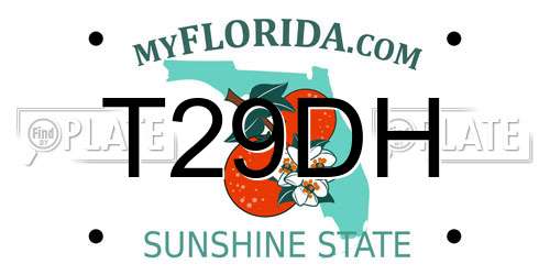 T29DH Florida License Plate