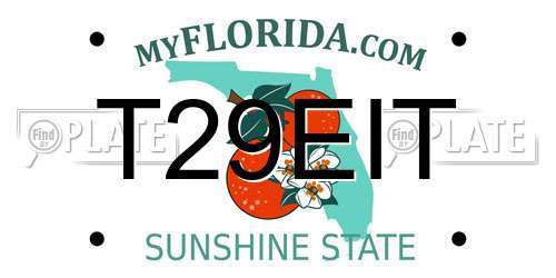T29EIT Florida License Plate
