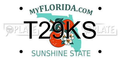 T29KS Florida License Plate