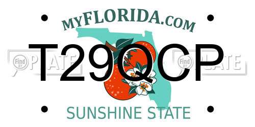 T29QCP Florida License Plate