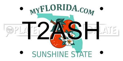 T2ASH Florida License Plate