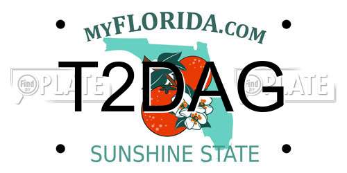 T2DAG Florida License Plate