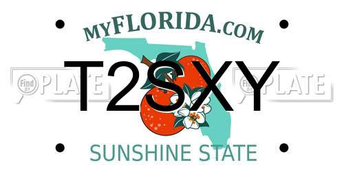 T2SXY Florida License Plate