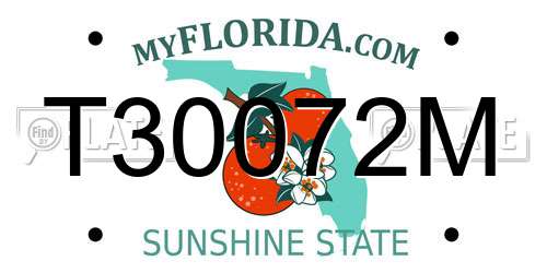 T30072M Florida License Plate