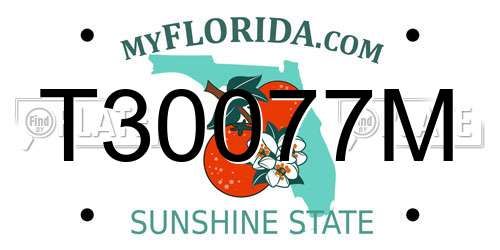 T30077M Florida License Plate