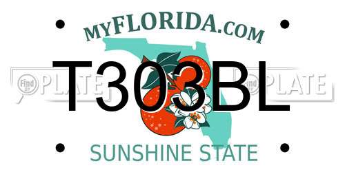 T303BL Florida License Plate