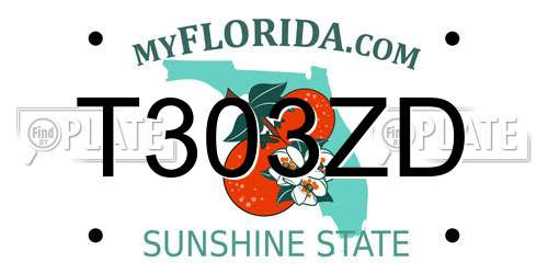 T303ZD Florida License Plate