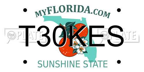 T30KES Florida License Plate