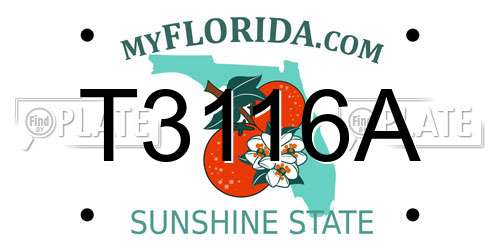 T3116A Florida License Plate