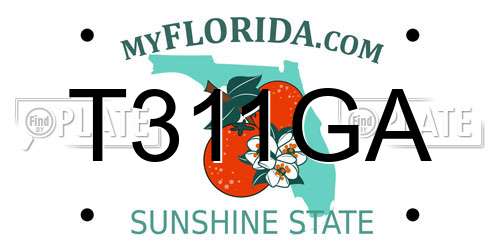 T311GA Florida License Plate