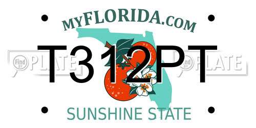 T312PT Florida License Plate