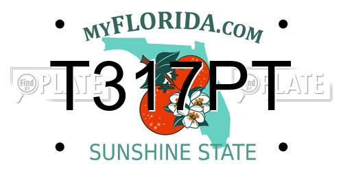 T317PT Florida License Plate