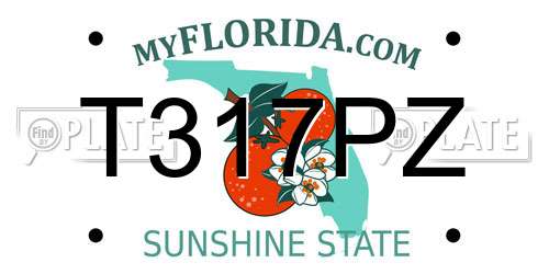 T317PZ Florida License Plate