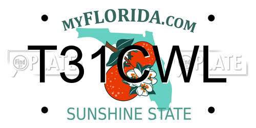 T31CWL Florida License Plate