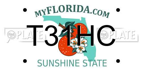 T31HC Florida License Plate