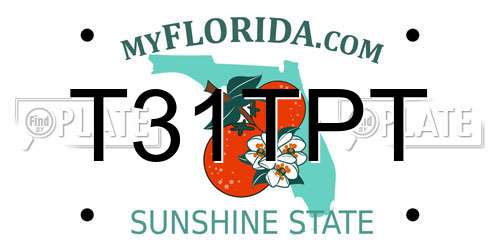 T31TPT Florida License Plate