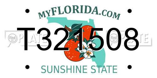 T321508 Florida License Plate