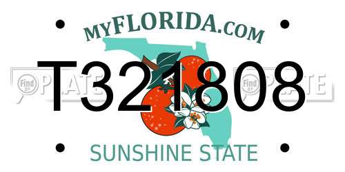 T321808 Florida License Plate