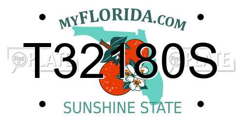 T32180S Florida License Plate