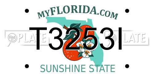 T3253I Florida License Plate