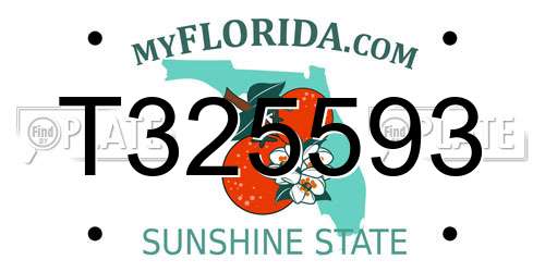 T325593 Florida License Plate