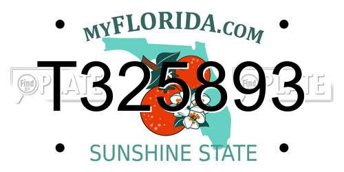 T325893 Florida License Plate