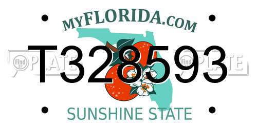 T328593 Florida License Plate