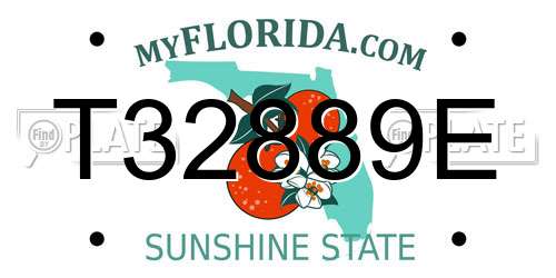 T32889E Florida License Plate