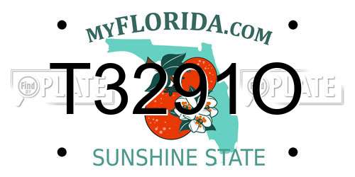 T3291O Florida License Plate